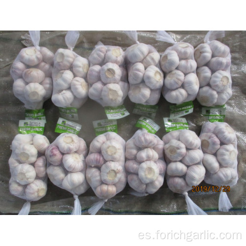 Comprar Fresh New Garlic 2019